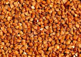 В России ожидается резкий рост цены на гречку - НТР 24