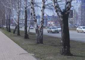 Строительство полкилометра новой дороги в Нижнекамске обойдется в 120 млн рублей