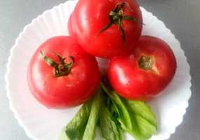 Диетолог рассказала о вреде томатного сока - НТР 24