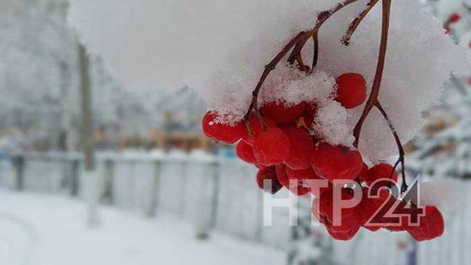 Тепло в Нижнекамске задержится ненадолго: когда ждать прихода зимы