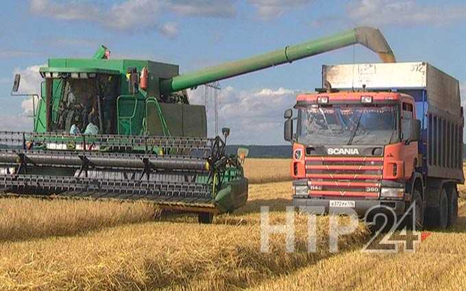 В Нижнекамском районе батыры жатвы на пятерых намолотили 14 тыс тонн зерна