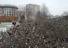 Резкое потепление приведет к массовым недомоганиям россиян - НТР 24