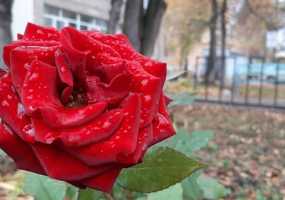 В Татарстане ожидается туман, в пятницу будет +3 градуса - НТР 24