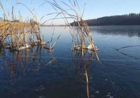 В Татарстане прогнозируется туман, суббота будет теплой - НТР 24