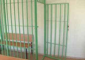 В Татарстане убийца матери получил всего 6 лет тюрьмы - НТР 24