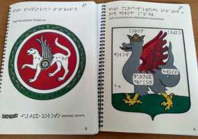 В РТ для слабовидящих выпустили рельефно-графический альбом о гербах 43 районов - НТР 24