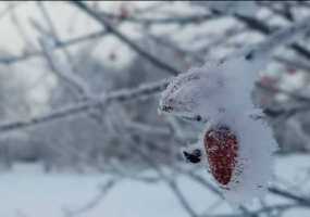 В Татарстане этой ночью сохранится морозная погода - НТР 24