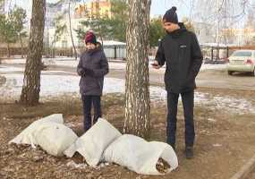 Школьники из Нижнекамска сделали более 3 тыс фотографий несанкционированных свалок - НТР 24