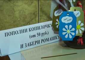 В Нижнекамске проходит акция «Добрая ромашка»: средства собираются на жалюзи для «Надежды»