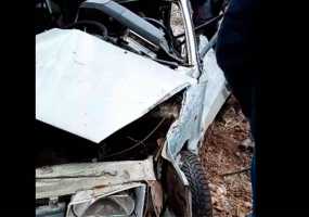 Около Нижнекамска легковушка врезалась в дерево - НТР 24