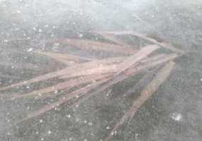 Шок: тело новорожденной девочки вмерзло в лед - НТР 24