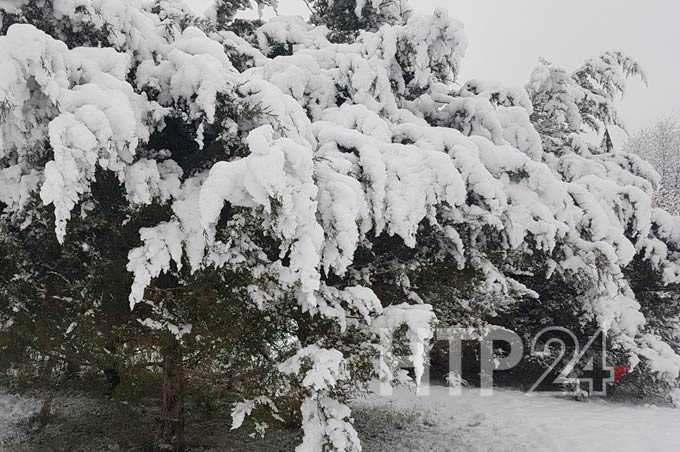 Синоптики пообещали снегопады в Татарстане и теплую погоду