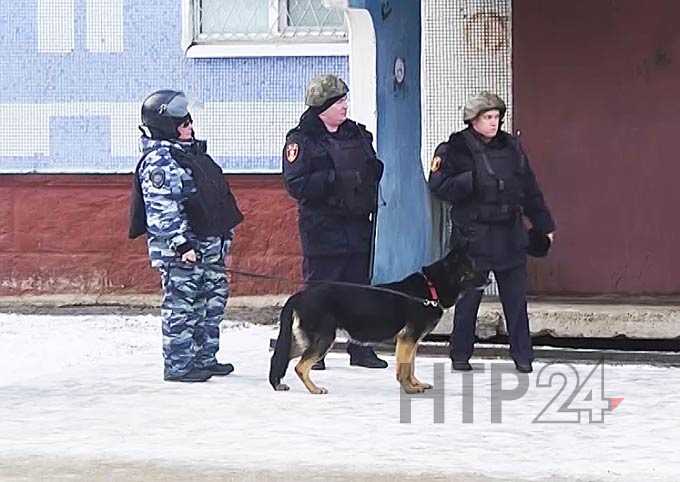В Нижнекамске на территории жилого дома нашли две гранаты