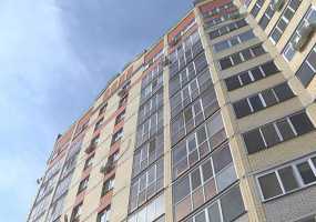 Девочка и кошка упали с девятого этажа и остались невредимы - НТР 24