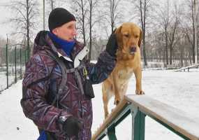 В Нижнекамске незрячий мужчина просит свозить его с собакой-поводырём на конкурс в Челны