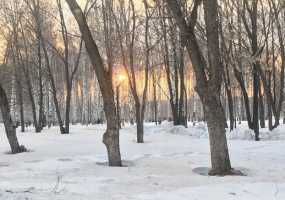 В Татарстане ожидается снегопад, на дорогах сохранится гололедица