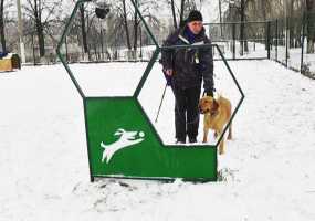 Незрячий нижнекамец вместе со своей собакой смогут принять участие в дог-шоу - НТР 24