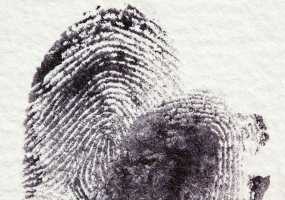 В Татарстане продолжаются аресты активистов АУЕ-группировок - НТР 24