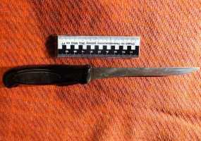 Студентка напала с ножом на заведующую колледжа - НТР 24