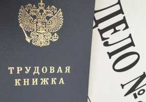 Специалист рассказала, данные каких работников не будут вноситься в цифровую трудовую книжку - НТР 24