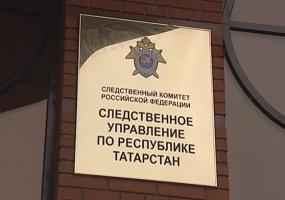 Прославившаяся на весь Интернет автоледи из Набережных Челнов избила представителя полиции - НТР 24