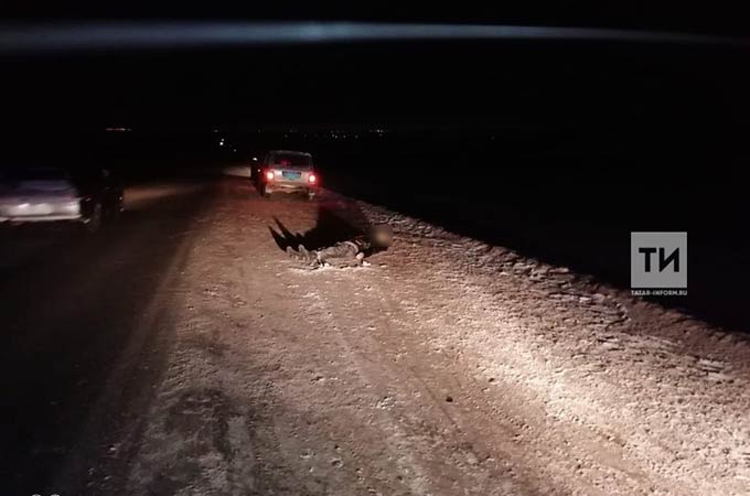 В Татарстане водитель сбил сидящего на дороге мужчину