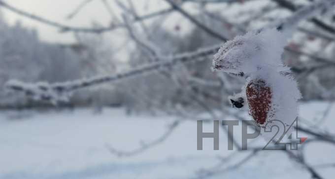 Настоящая зима придет в Россию только в феврале