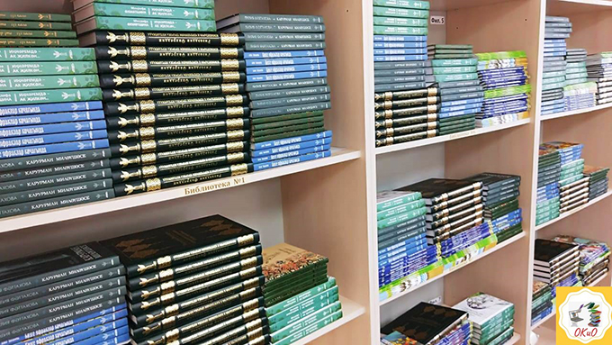 Новыми книгами пополнились библиотеки Нижнекамска