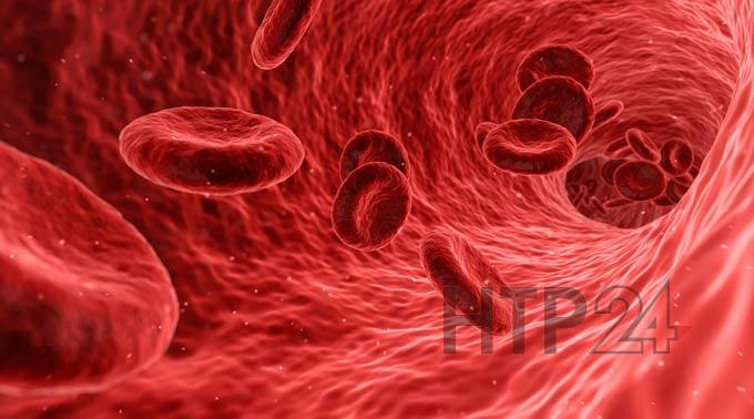 Ученые выяснили, у людей с какой группой крови риск умереть от травмы выше