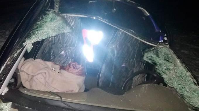 В Татарстане девушка-водитель столкнулась с лосем