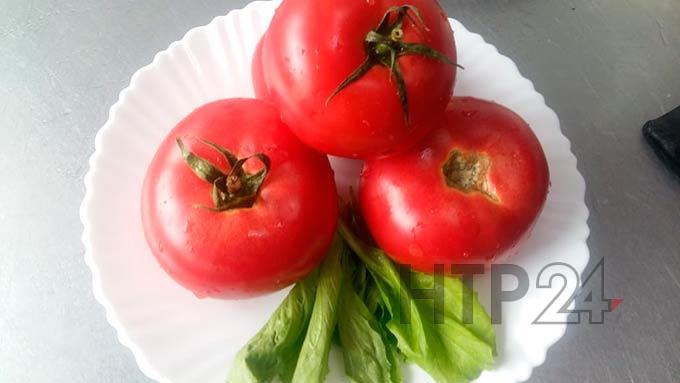 Чем вредны и полезны для человека помидоры