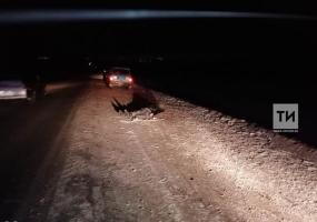 В Татарстане водитель сбил сидящего на дороге мужчину