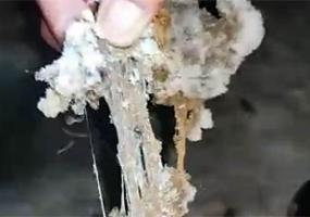Рыбаки нашли на Каме недалеко от Нижнекамска химические отходы
