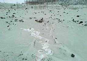 В России выпал зеленый снег - НТР 24