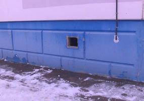В Нижнекамске кошки смогут спасаться от мороза в подвалах жилых домов