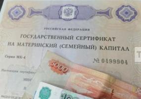 Детский омбудсмен Татарстана поддержала новые меры поддержки семей - НТР 24