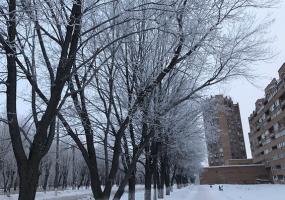 В ближайшие часы синоптики обещают татарстанцам похолодание до -26 градусов - НТР 24