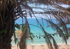 В апреле планируют запустить первые рейсы в Египет - НТР 24