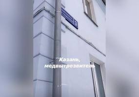 Малышева: пьяные в Татарстане — спокойные и милые ребята - НТР 24