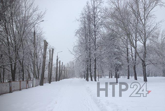 Погода в Татарстане на 20 февраля: ожидаются туман и гололёд