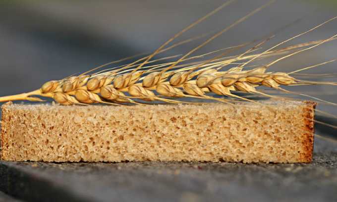 В Татарстане вывели новый сорт пшеницы «100 лет ТАССР»