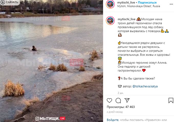 Многодетная мать прыгнула в ледяную воду, чтобы спасти собаку