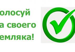 Нижнекамцы могут проголосовать за своего прославленного земляка - НТР 24