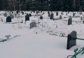 Елабужского ветерана Великой Отечественной войны перезахоронят на Аллее славы - НТР 24