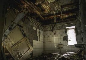 Четверых российских бомжей могли закусать до смерти - НТР 24