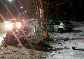 В Татарстане от столкновения с деревом у машины вылетел двигатель - НТР 24