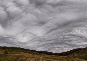 В ближайшие четыре года синоптики обещают пожары и штормы - НТР 24