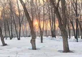 В Нижнекамске появится новый парк