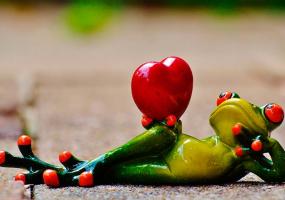 Перед Днем Святого Валентина россияне скупают презервативы и цветы - НТР 24