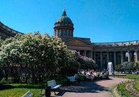 Из Нижнекамска в Петербург теперь можно летать в пять раз чаще - НТР 24